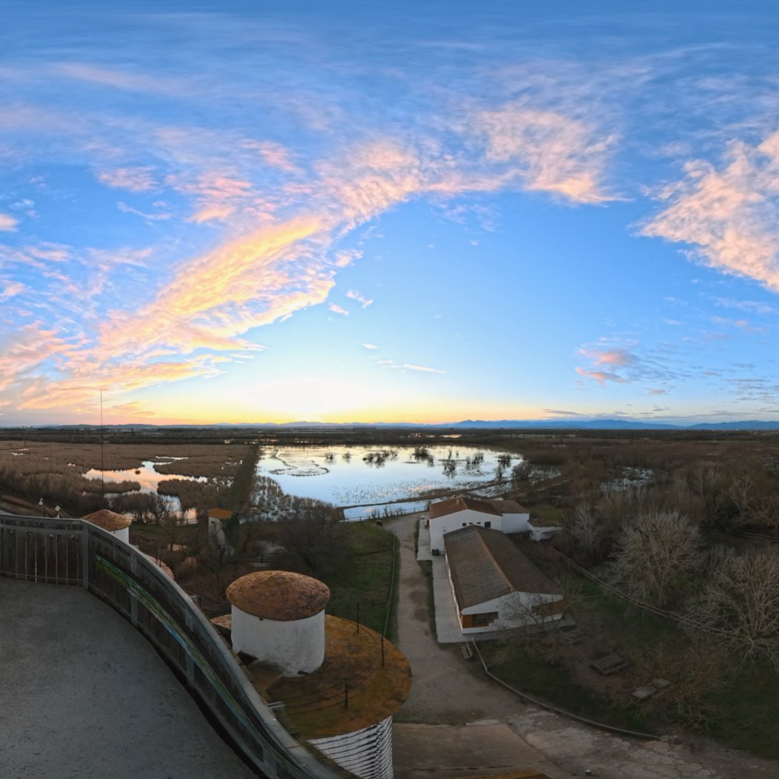 Vistas del manglar